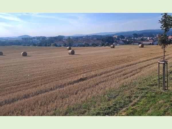 Balíky slámy Balíky slámy