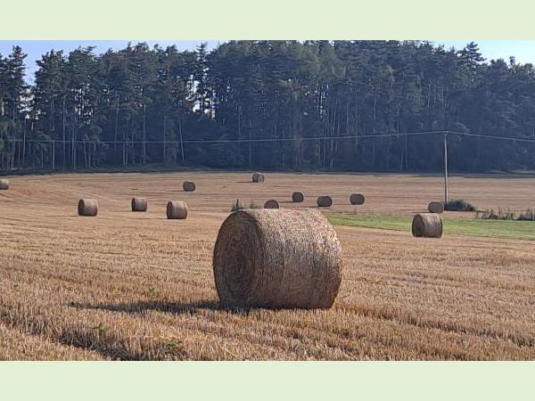 Balíky slámy Balíky slámy