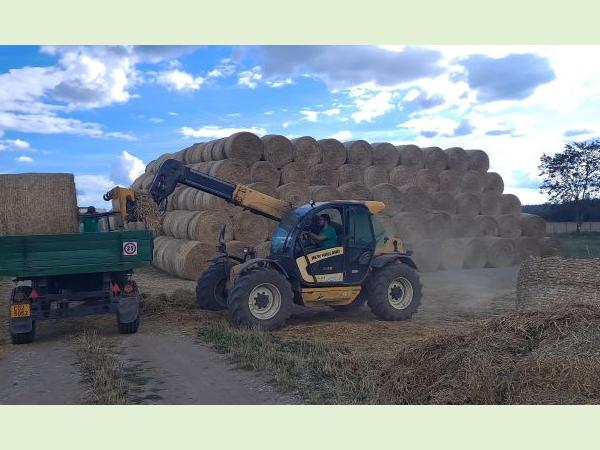 Balíky slámy Balíky slámy