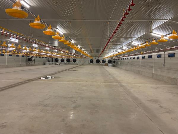 hala na výkrm brojlerů hala na výkrm brojlerů