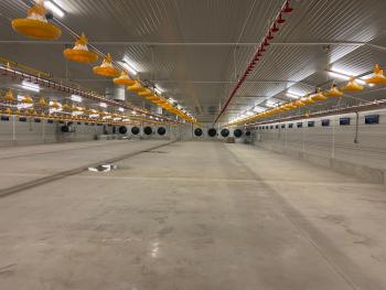 hala na výkrm drůbeže hala na výkrm drůbeže