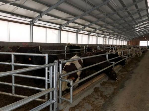 Pošumaví a.s. Pošumaví a.s.