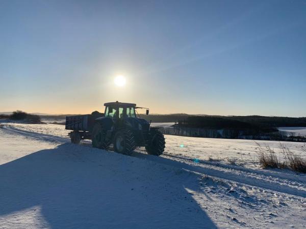 Zima v Pošumaví Zima v Pošumaví